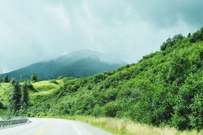 Road amidst trees against sky