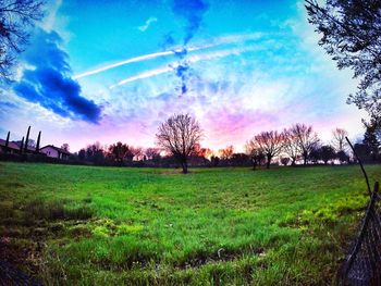 Scenic view of grassy field against sky
