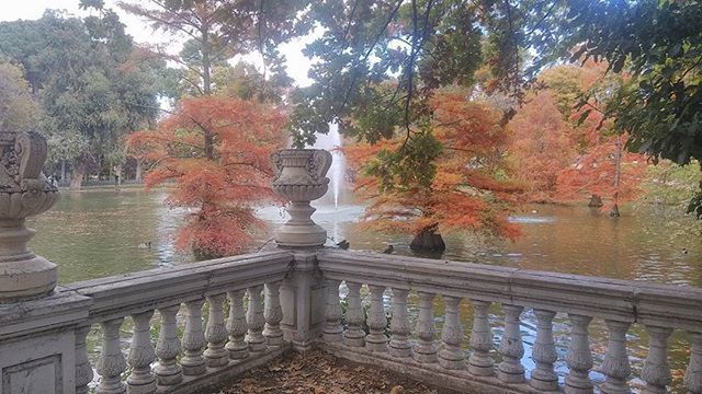 water, tree, reflection, built structure, architecture, building exterior, lake, nature, autumn, tranquility, beauty in nature, outdoors, pond, day, waterfront, no people, season, tranquil scene, change, river