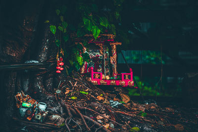 View of illuminated trees in forest at night