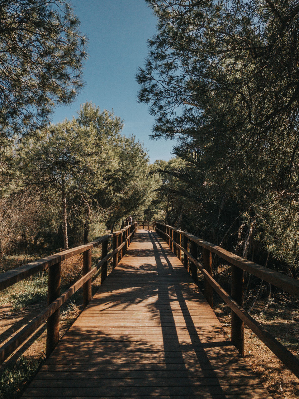 WOODEN FOOTBRIDGE ALONG TREES