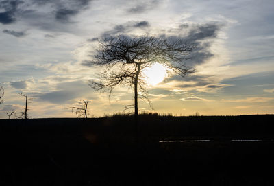 Silhouette trees on field against sky during sunset