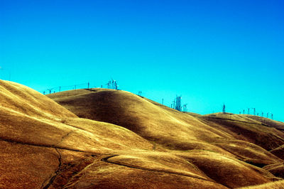 View of tree against blue sky