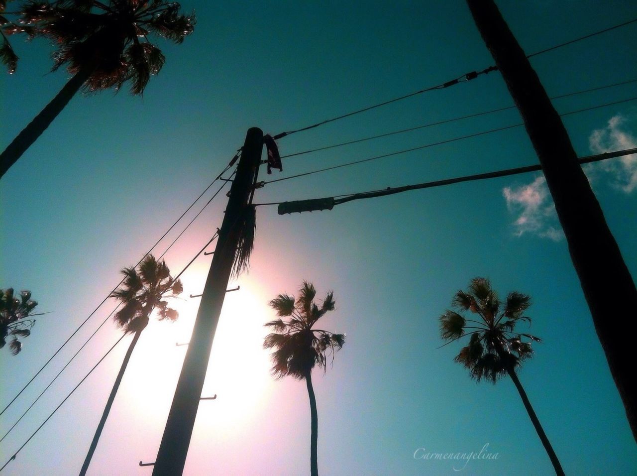 low angle view, palm tree, silhouette, tree, clear sky, power line, electricity pylon, connection, blue, sky, power supply, cable, tall - high, electricity, tree trunk, nature, technology, growth, outdoors, tranquility