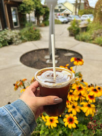 Cold brew on a sunny day 