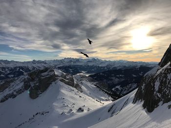 Birds flying over snowcapped mountains against sky