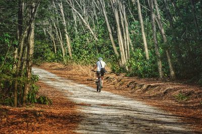 Rear view of man riding bike amidst trees