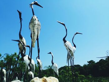 Low angle view of birds flying against clear blue sky