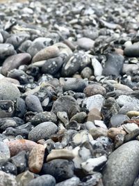 High angle view of stones on pebbles