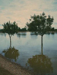 Scenic view of lake at sunset