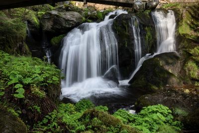 View of waterfall in forest