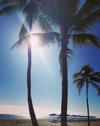 Scenic view of palm trees on beach during sunny day