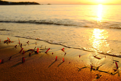 Scenic view of beach against sky during sunset