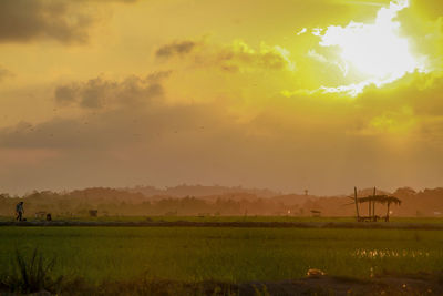 Scenic view of field against sky during sunset