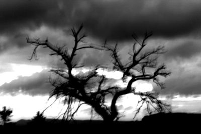 Silhouette bare tree against sky