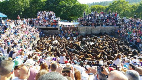 Crowd in market