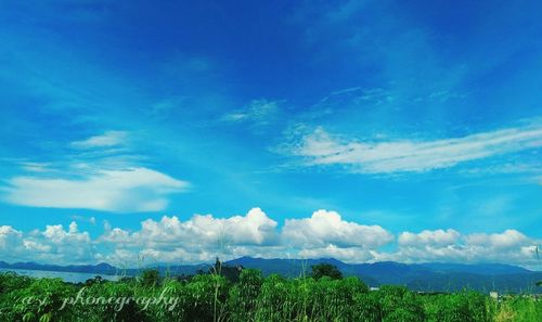 Scenic view of landscape against blue sky