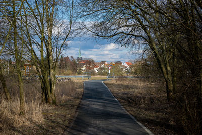 Footpath amidst trees and plants against sky