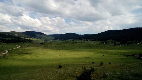 Sheep grazing on field by mountains against sky