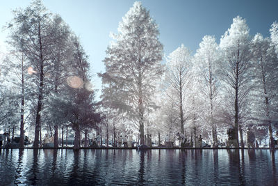 Scenic view of river against sky