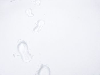 Close-up of white curtain on beach