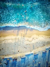 High angle view of fish swimming in sea