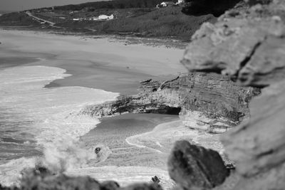 Close-up of landscape