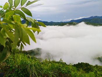 Scenic view of landscape against sky