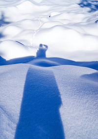 People standing on snow covered landscape