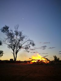 Silhouette tree on landscape against sky at night