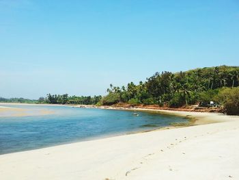 Scenic view of calm sea against clear sky