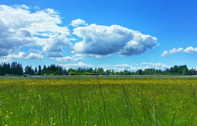 Scenic view of field against cloudy sky