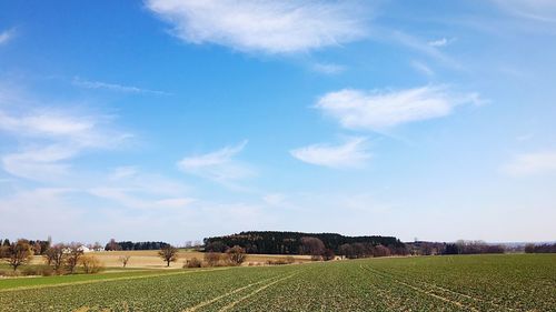 Scenic view of agricultural field against sky