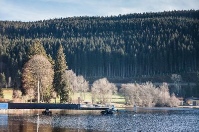 Scenic view of river by trees against sky