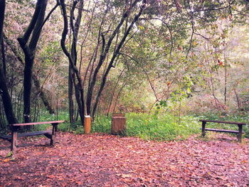 Empty park bench in park