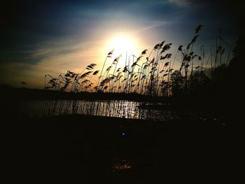 Silhouette trees by lake against sky during sunset