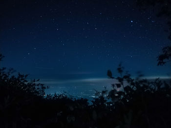 Silhouette trees against sky at night