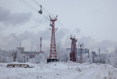 Cranes on snow covered land against sky