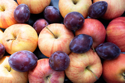 Full frame shot of apples