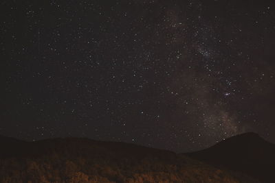 Scenic view of star field at night