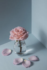 Close-up of rose in glass vase on table