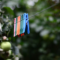 Close-up of multi colored flags hanging on rope