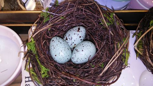 High angle view of eggs in nest