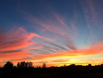 Silhouette of trees at sunset