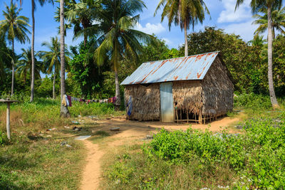 House by palm trees on field against sky