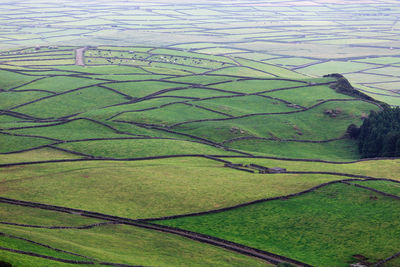 High angle view of agricultural field