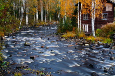 Road by lake in forest during autumn