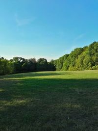 Scenic view of field against clear sky