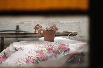 Close-up of potted plant on table