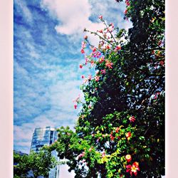 Low angle view of building against cloudy sky